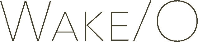 wakeio logo